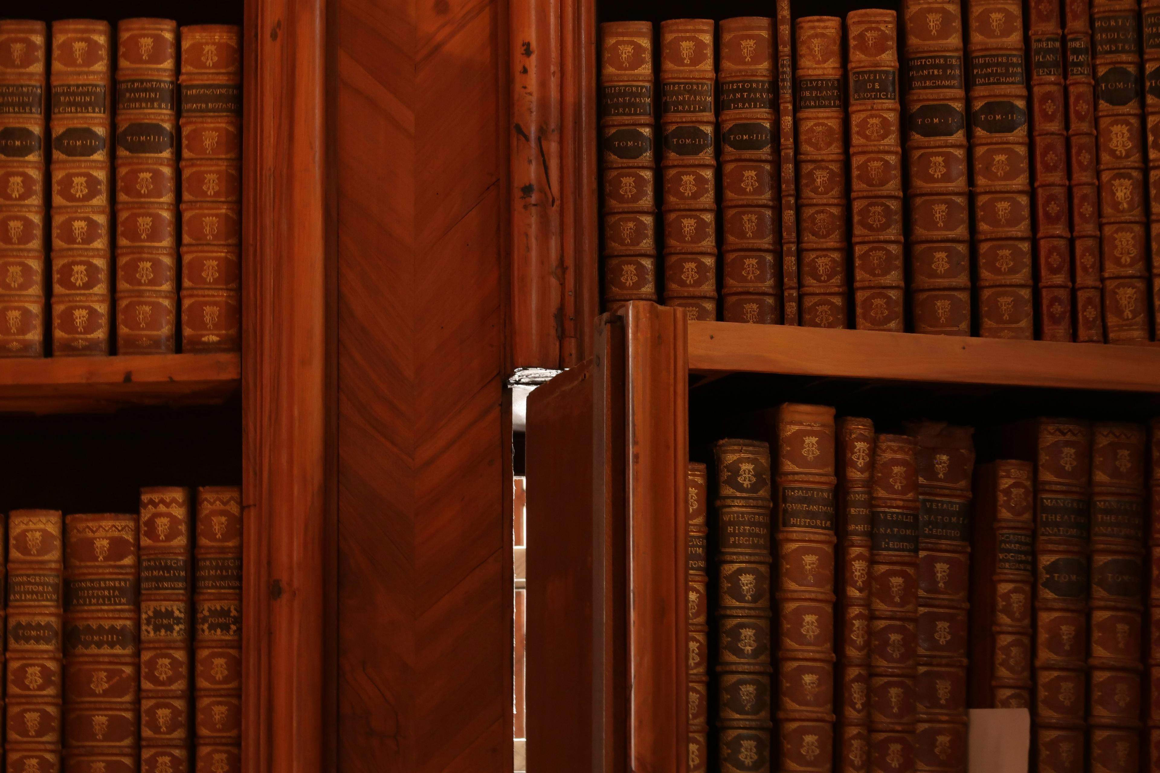 Antique leather-bound books and handwritten manuscripts on wooden shelf